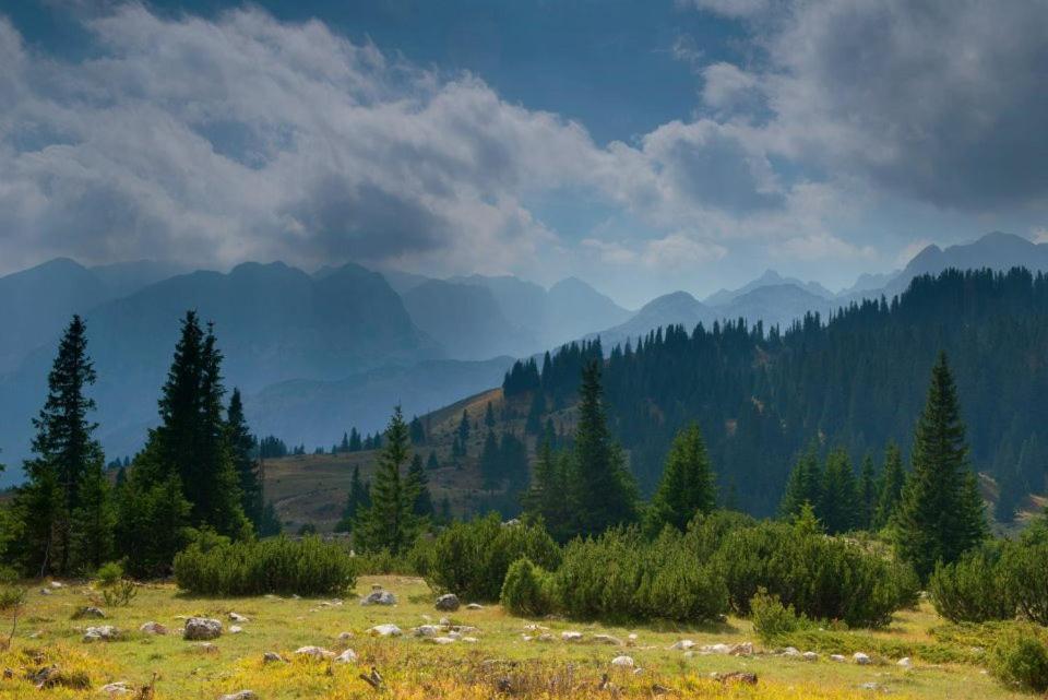 Apartman Idzo Žabljak Exteriér fotografie